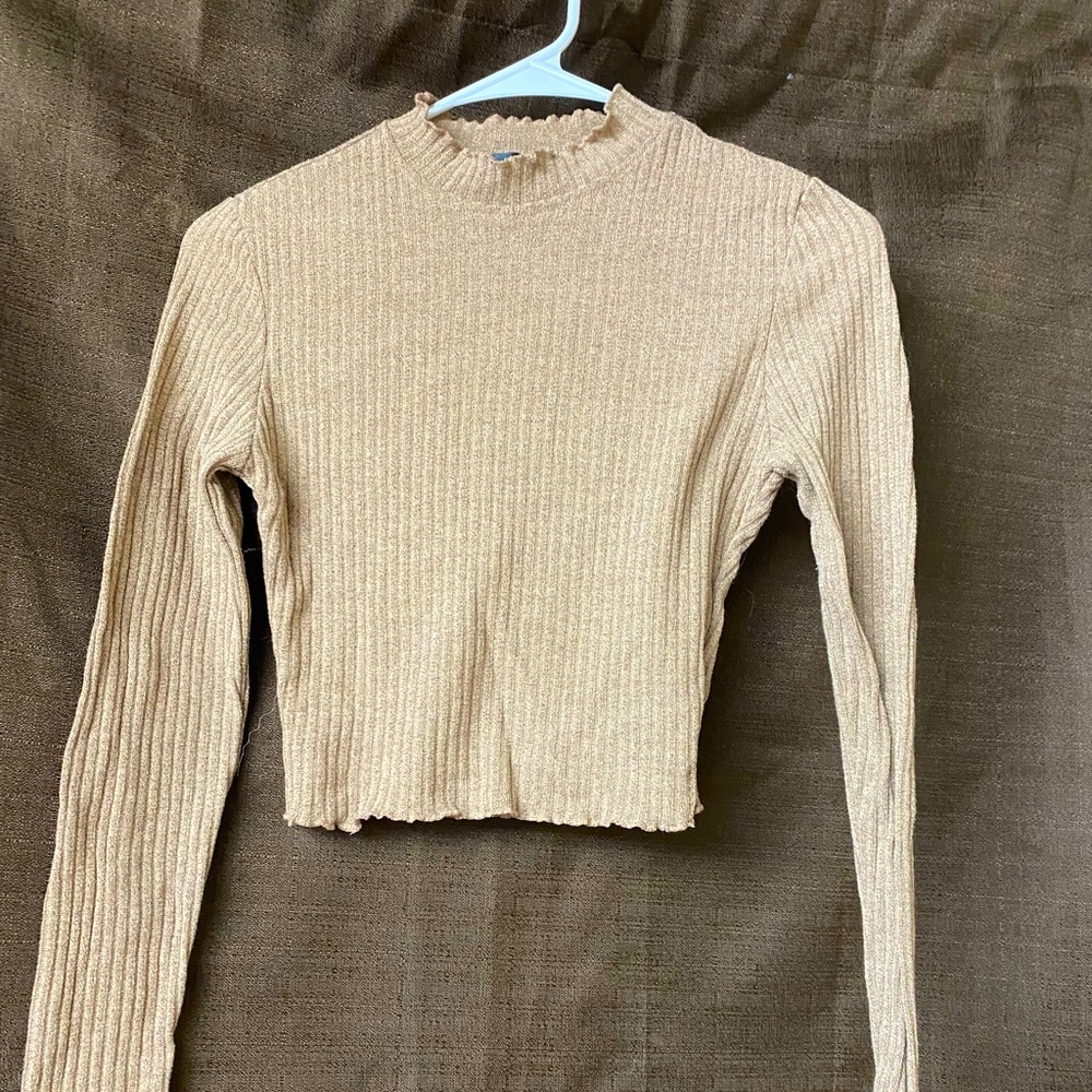 Shein Brown Turtle Neck Crop Top